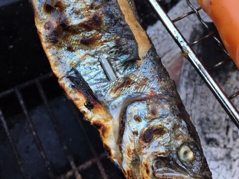 バーベキューにも◎炭で焼くあまごの塩焼き